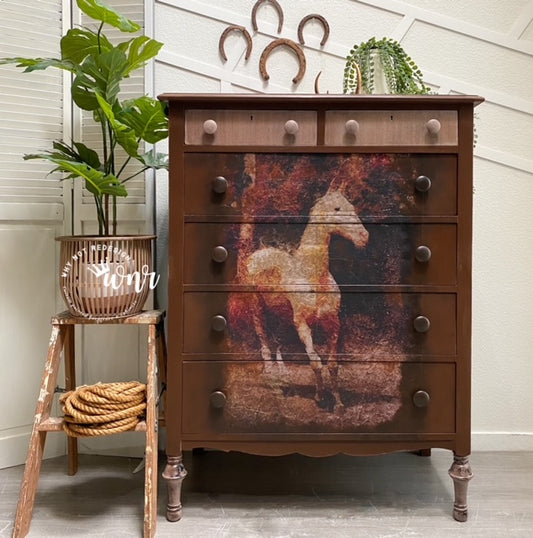 Tall boy farmhouse dresser painted in dark brown with horse transfer on drawers, ladder, rope, potted plant, horseshoes on the wall