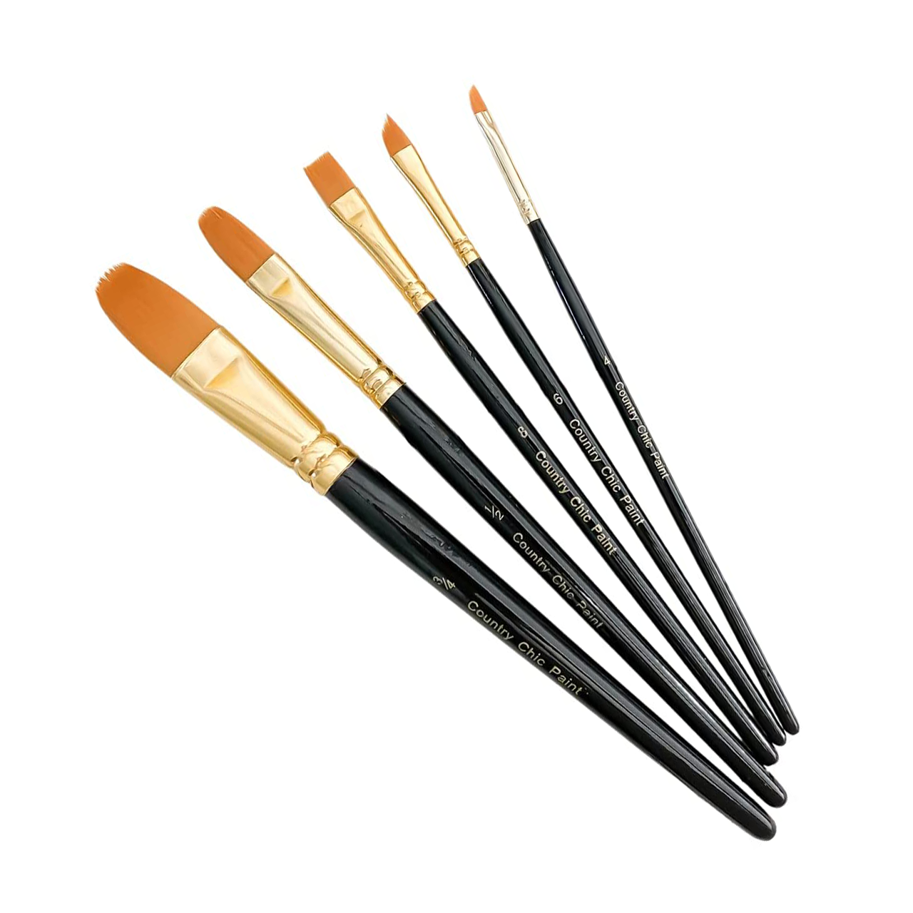 Pack of 5 Country Chic Paint Artist Brushes on White