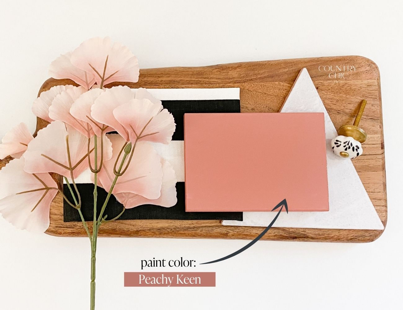 Mood board clay coral pink color inspiration with Peachy Keen by Country Chic Paint