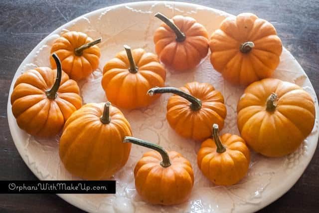 Shades of White Painted Pumpkins #DIY #crafting #paintedpumpkins #fall #falldecor #autumn #pumpkins #shadesofwhite - www.countrychicpaint.com/blog