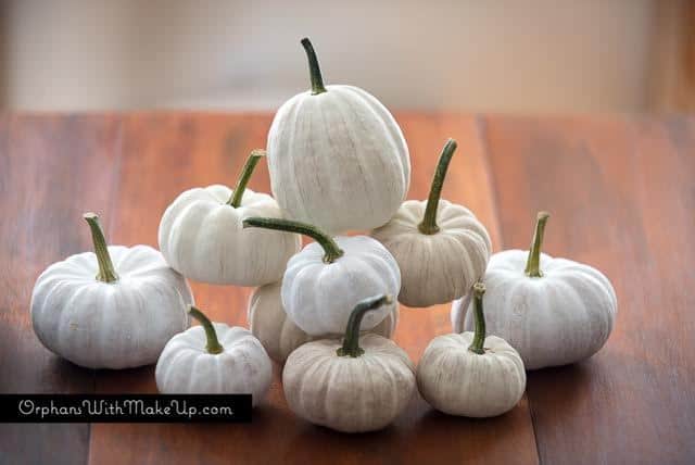 Shades of White Painted Pumpkins #DIY #crafting #paintedpumpkins #fall #falldecor #autumn #pumpkins #shadesofwhite - www.countrychicpaint.com/blog